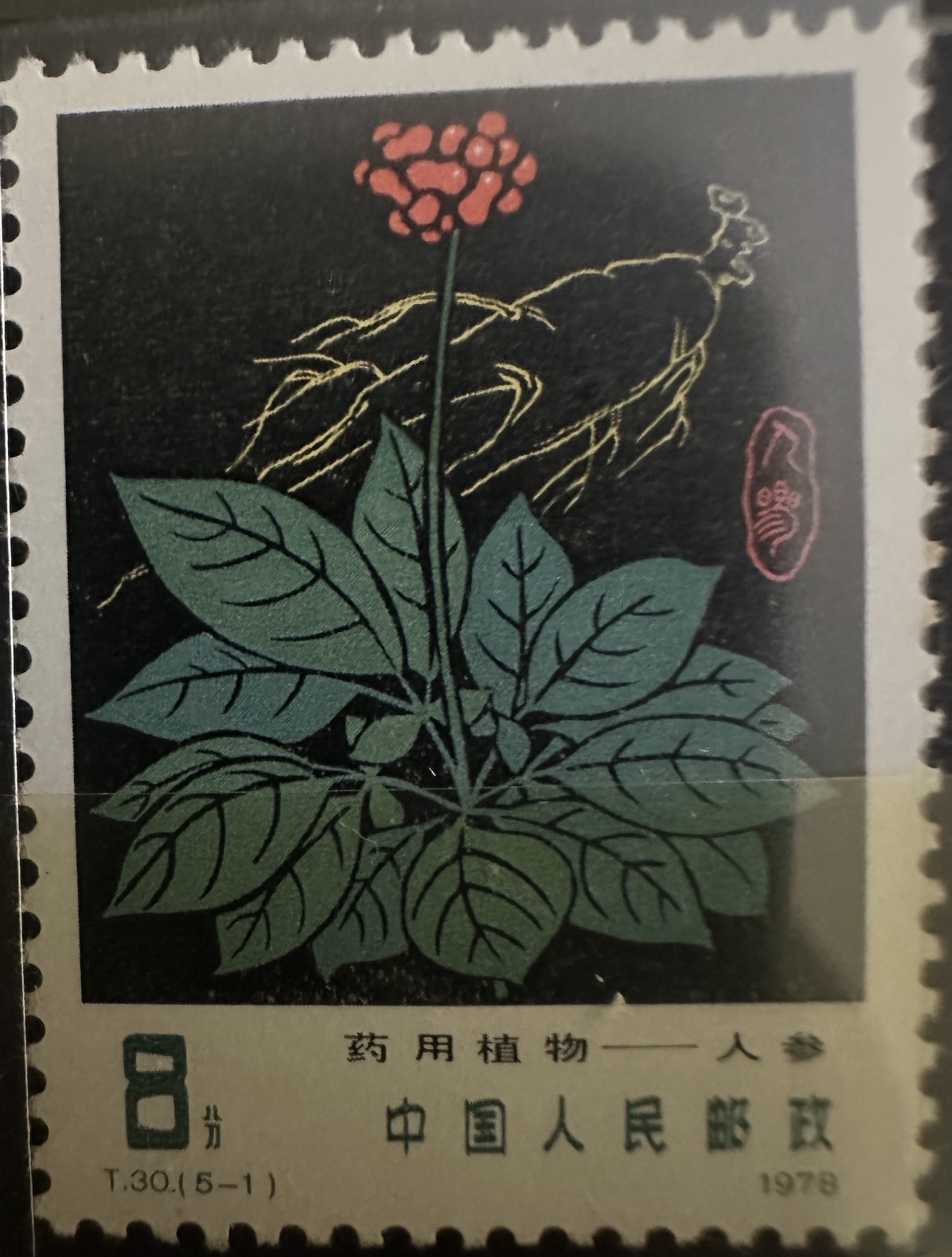 Timbre Chine 1978 – Plantes médicinales (T30) – Ginseng – 8 fen – T.30(5-1)